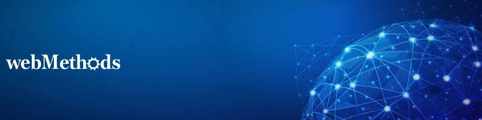 webMethods Consulting Services