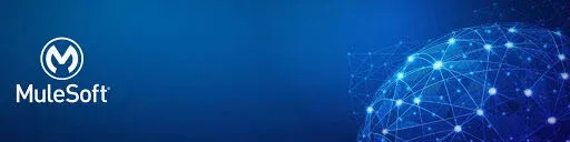 MuleSoft Anypoint Platform